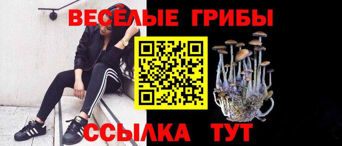 Галлюциногенные грибы MAGIC MUSHROOMS  Вход с VPN  Кушва  Псилоцибиновые грибы мицелий 