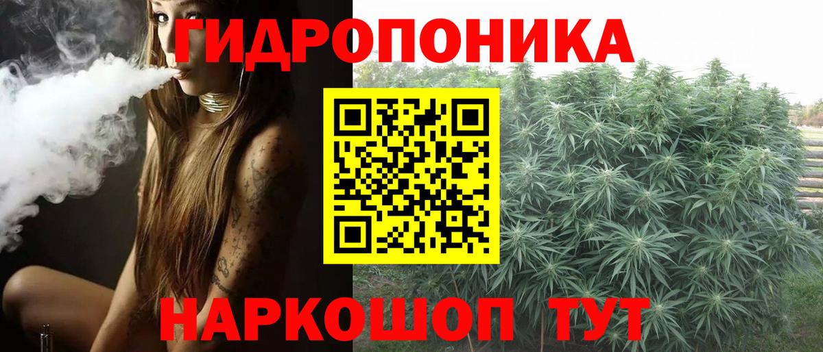 Марихуана индика Кушва
